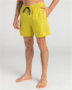 Billabong All Day Heritage Lb Erkek Şort EBYJV00105