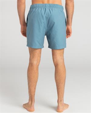 Billabong All Day Lb Erkek Şort EBYJV00104