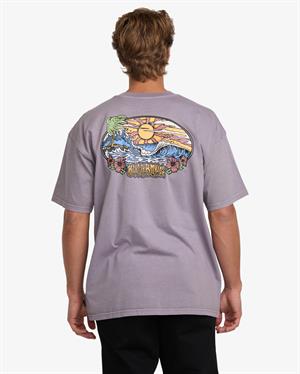 Billabong Hı Tıde Og Ww Ss Erkek Tişört 24A521533