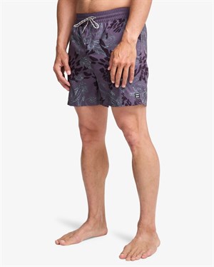 Billabong Vacay Lb Erkek Şort EBYJV00159