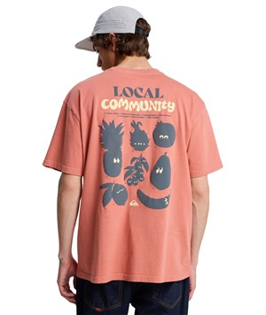 Quiksilver Fruits Tide Erkek Tişört EQYZT08296