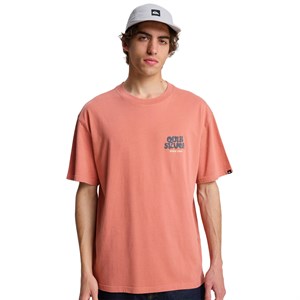 Quiksilver Fruits Tide Erkek Tişört EQYZT08296