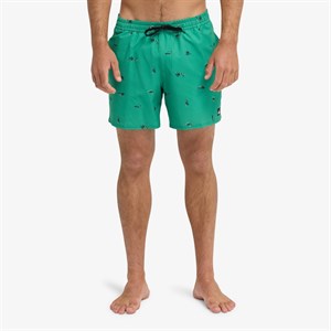 Quiksilver Stretch Printed Erkek Şort EQYJV04217