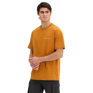 Quiksilver Touchdown Tee Erkek Tişört TRQMS26110