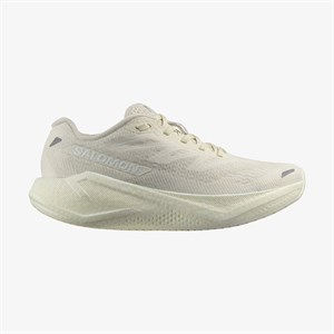 Salomon Aero Blaze 3 W Kadın Outdoor Ayakkabısı L47874800