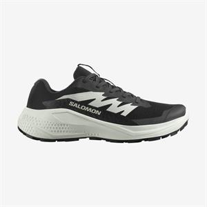 Salomon Alphaglıde W Kadın Outdoor Ayakkabısı L47801500