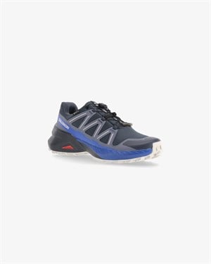Salomon Speedcross Peak Gtx Erkek Outdoor Ayakkabısı L49170800