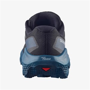 Salomon Ultra Flow 2 Erkek Outdoor Ayakkabısı L49221600