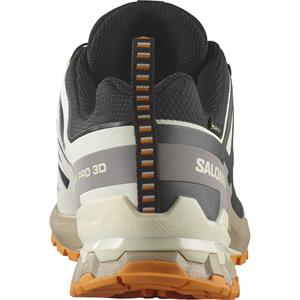 Salomon Xa Pro 3D V9 Gore-Tex Erkek Outdoor Ayakkabısı L47881900