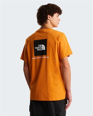 The North Face M Evolution Box Nse Regular Short Sleeve Erkek Tişört NF0A8B6KG5I1