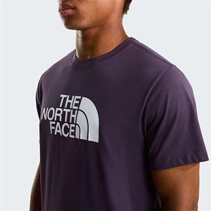 The North Face M Evolution Half Dome Regular Short Slee Erkek Tişört NF0A8B6JG5O1