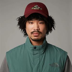 The North Face Norm Hat Unisex Şapka NF0A7WHOBQ61