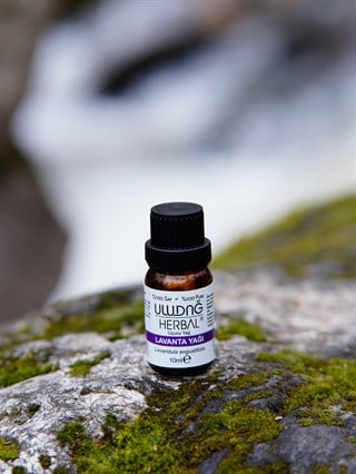 Lavanta Yağı ( L.angustifolia ) 10 ml