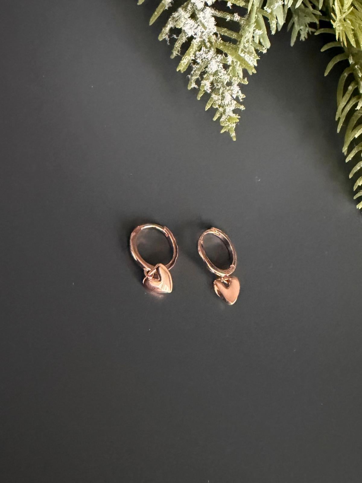 Helix-Tragus Halka Küpe 28