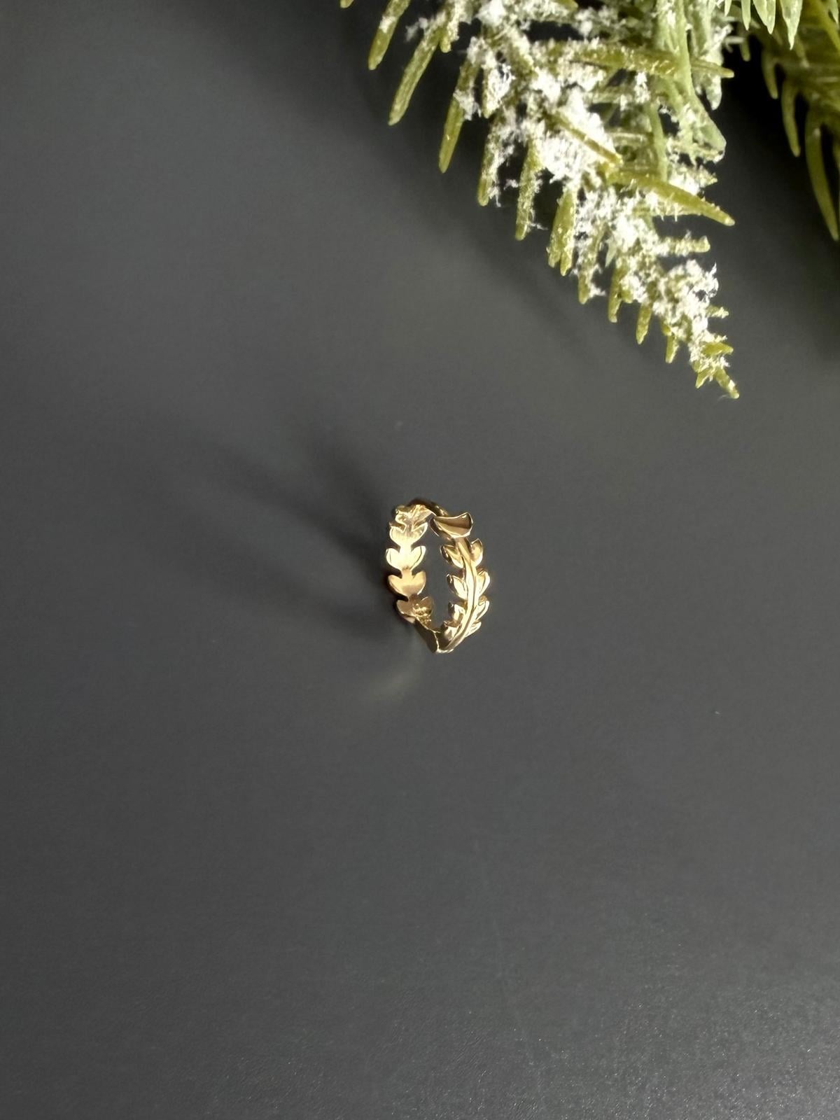 Helix-Tragus Halka Küpe 24