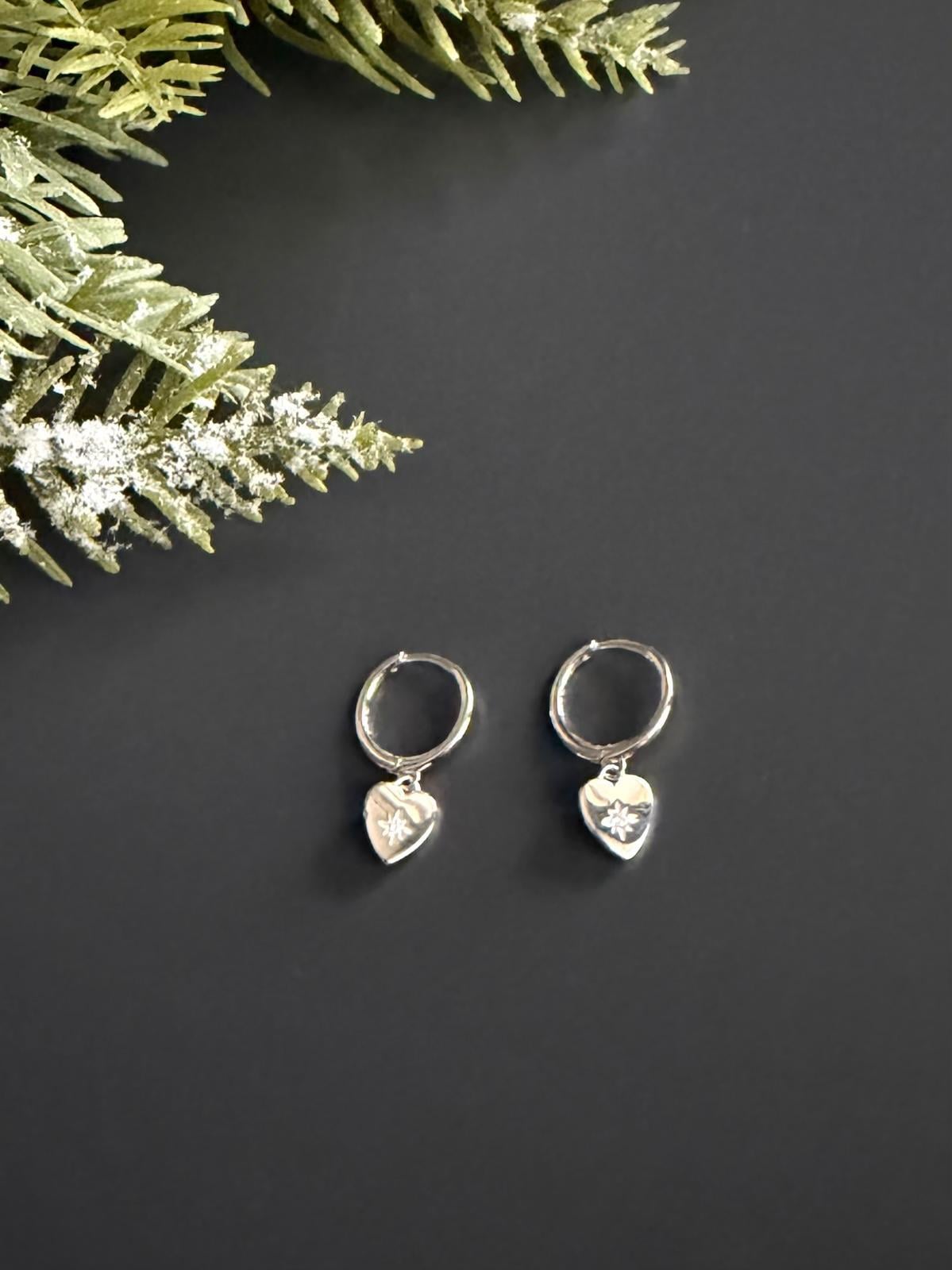 Helix-Tragus Halka Küpe 29