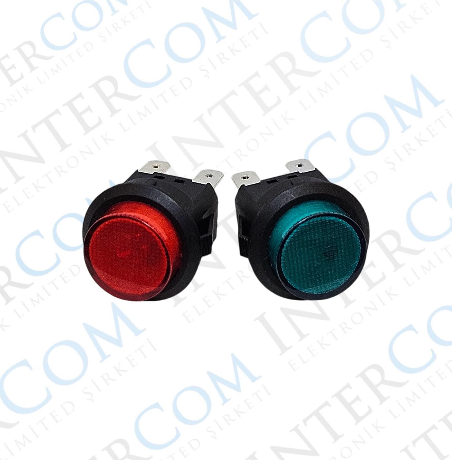 IC-180M 22MM PLASTİK ANAHTAR 12V 4P