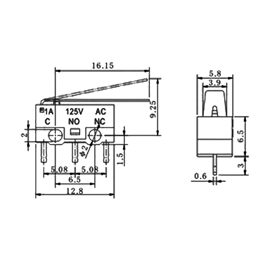 IC-162A Micro Switch Mini Uzun Paletli KW10-Z2P