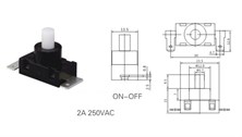 IC-180H4 SÜPÜRGE ANAHTARI 2P  PBS-03A