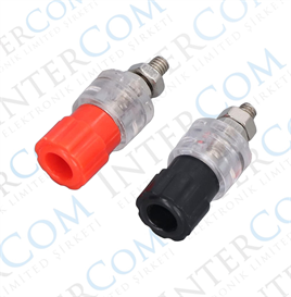 IC-240C Born Kelemens Orta Boy