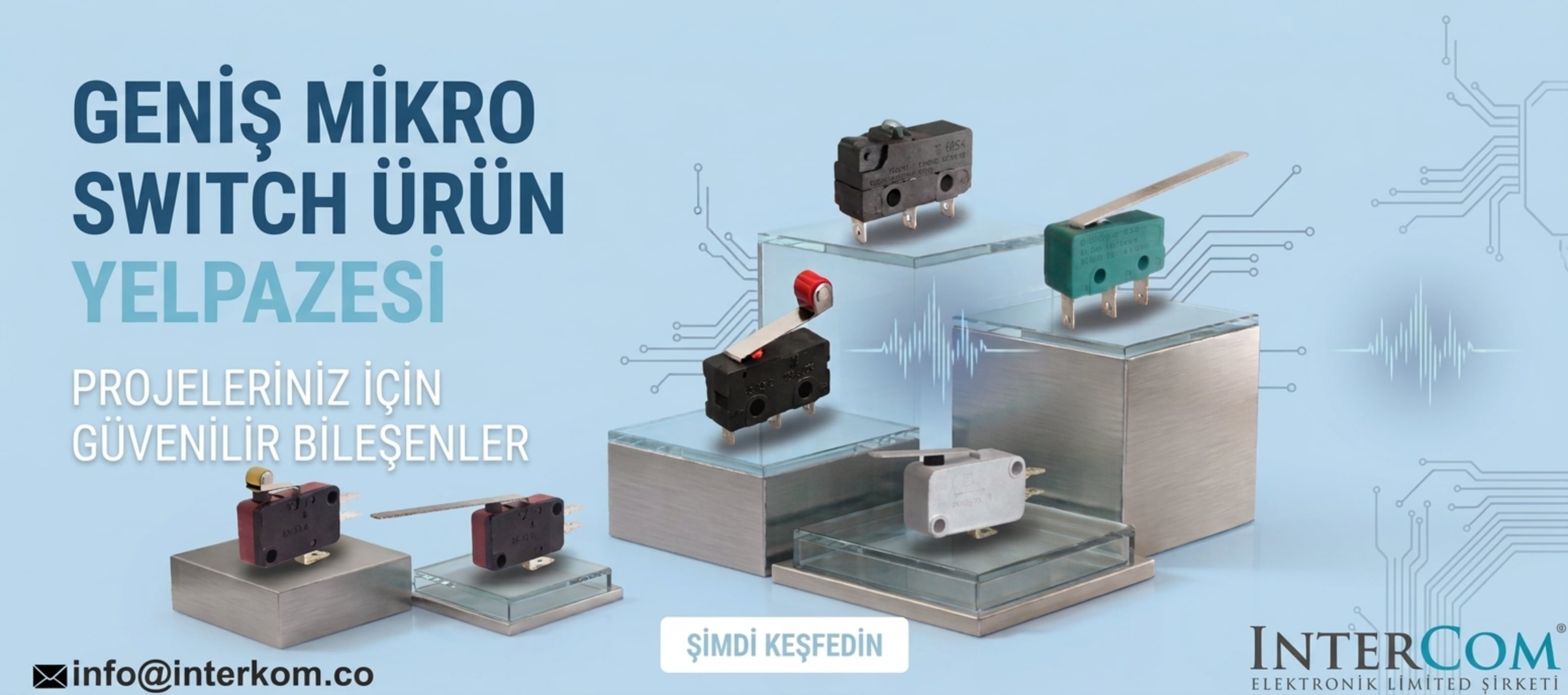 micro switch