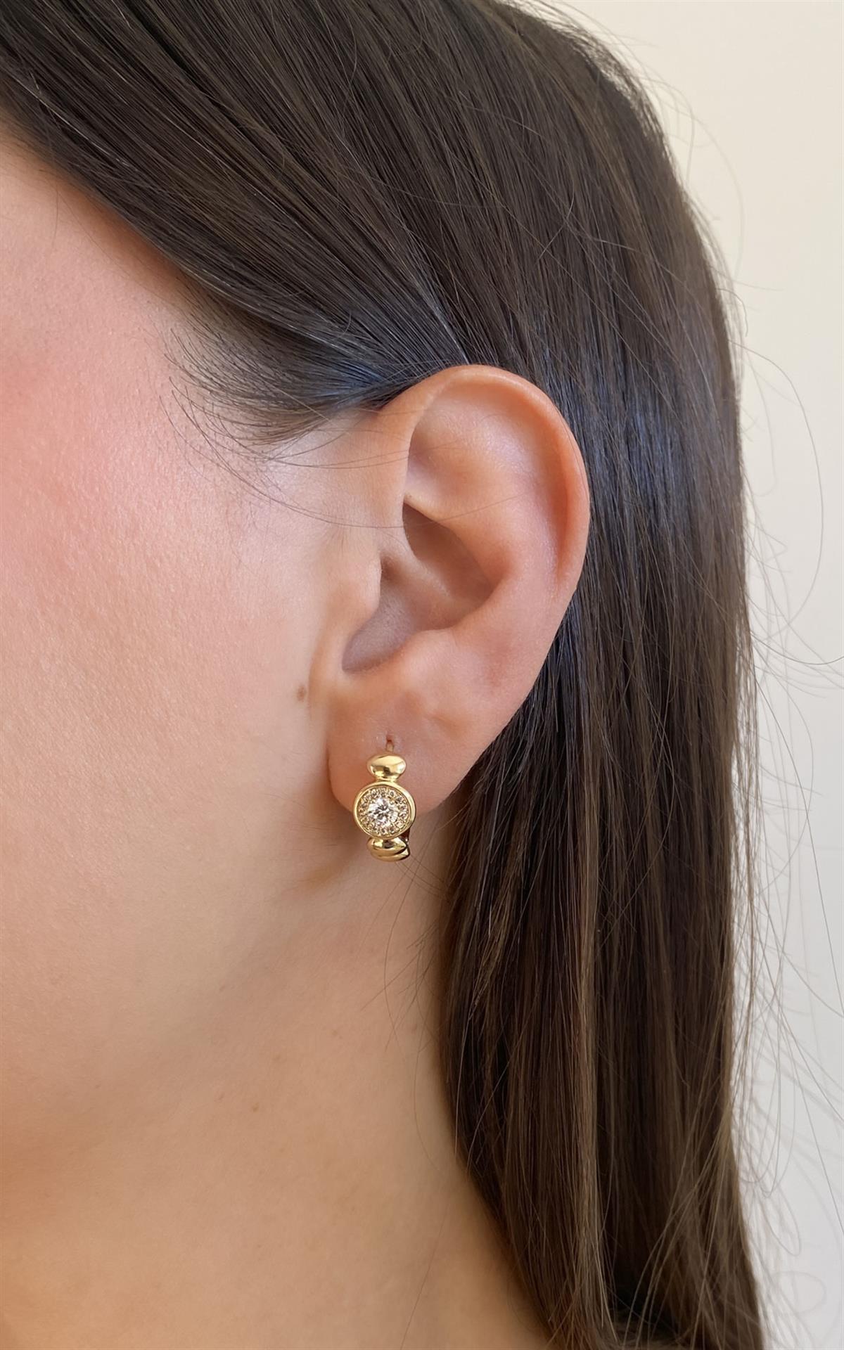 Daire Detaylı Taşlı Gold Halka Küpe