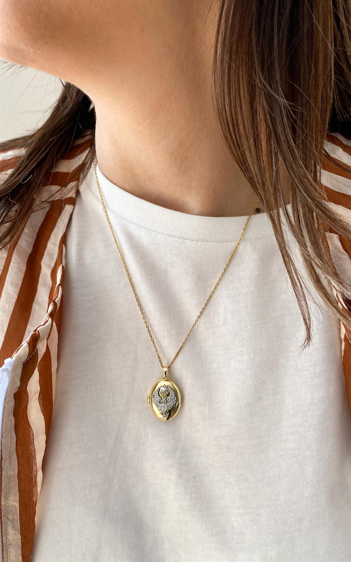 Oval Plaka Üzeri Kuş Desenli Gold Gümüş Kapaklı Çelik Kolye