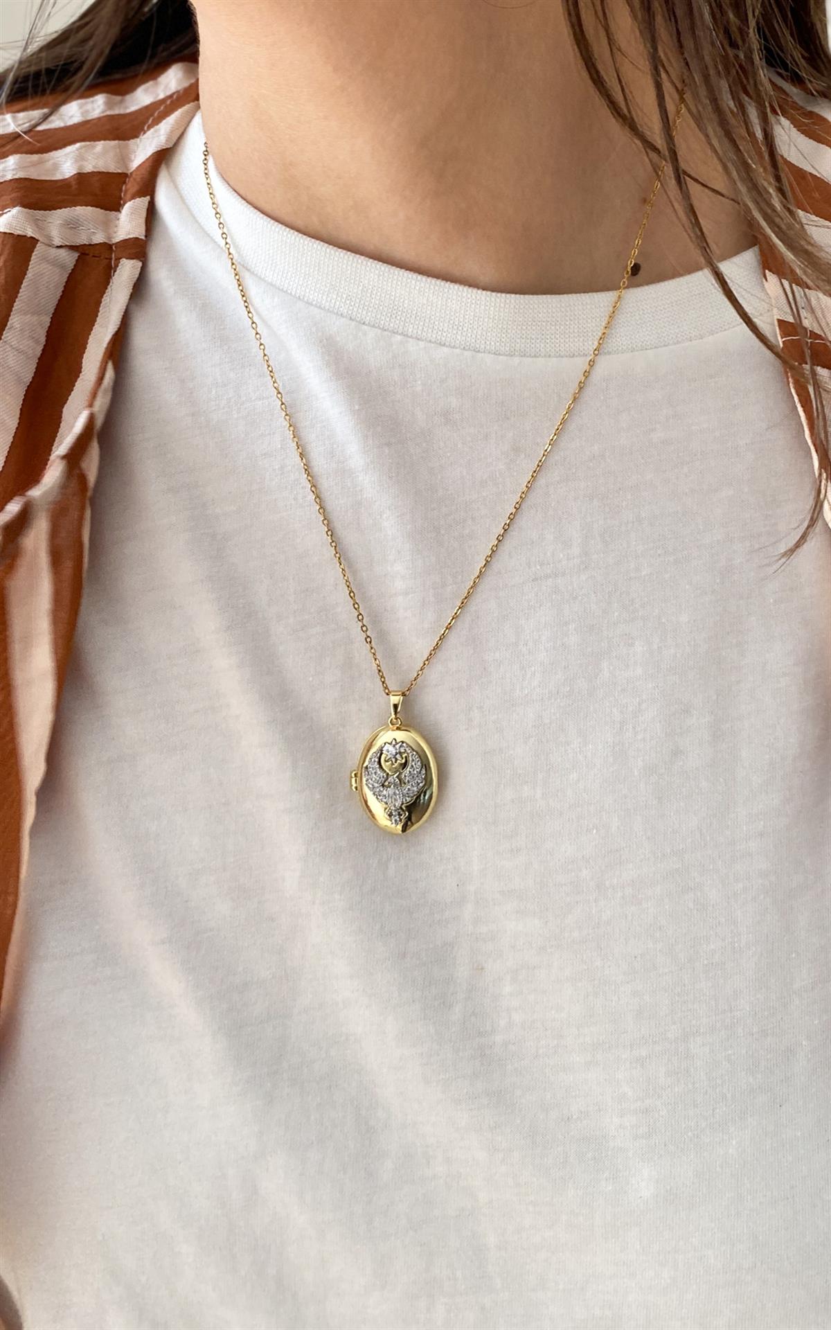 Oval Plaka Üzeri Kuş Desenli Gold Gümüş Kapaklı Çelik Kolye