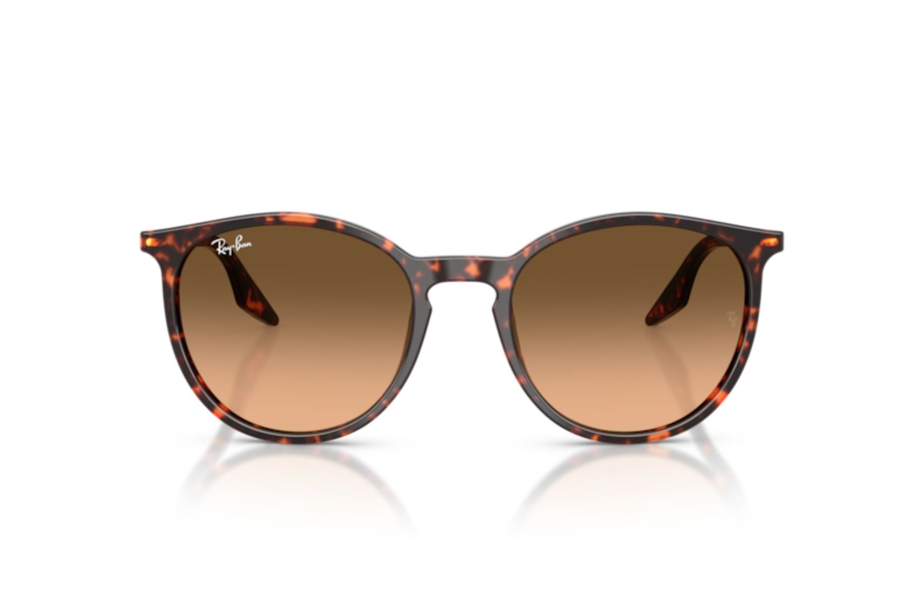 Ray-Ban 0RB2204 14293B 51 Unisex Güneş Gözlüğü