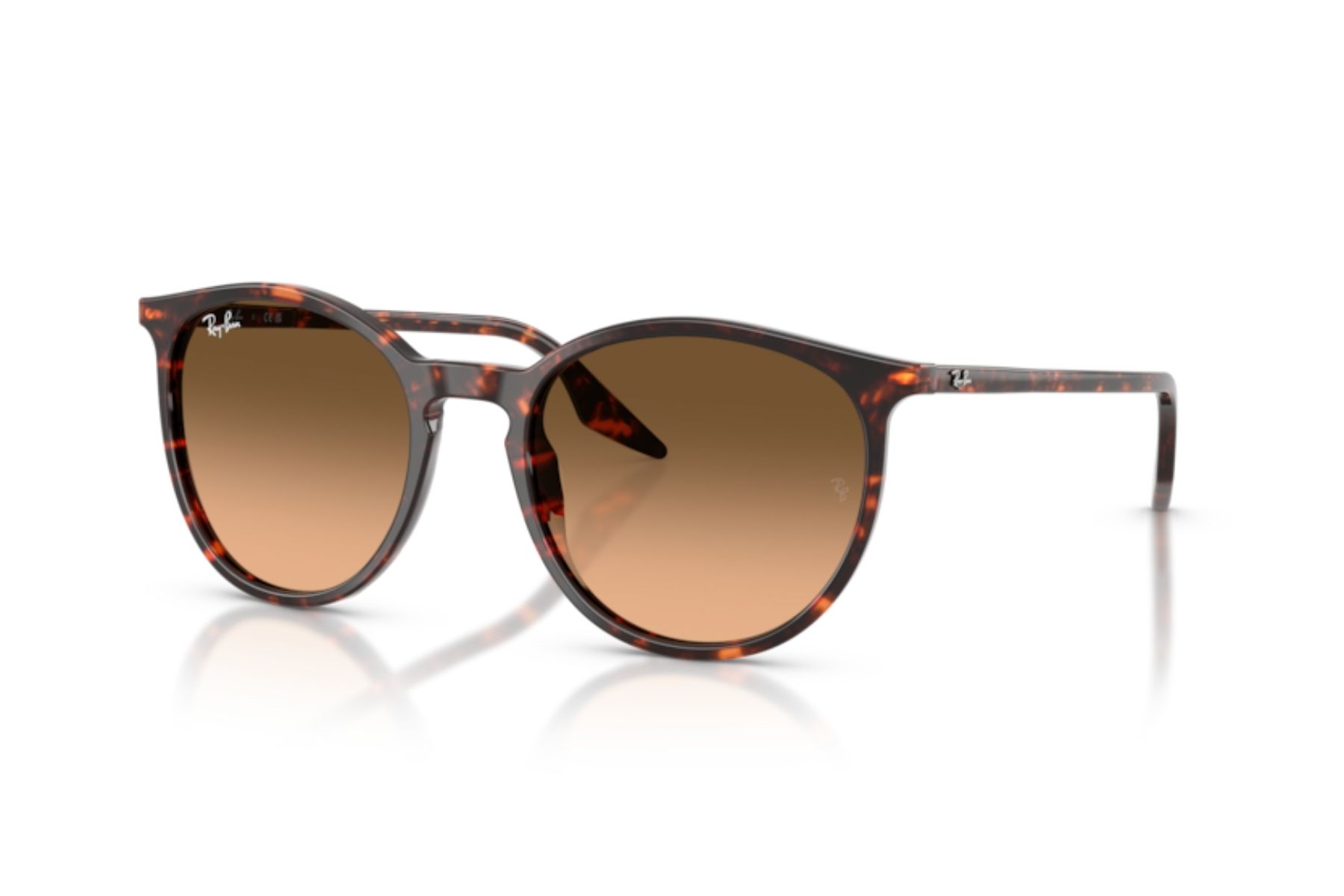 Ray-Ban 0RB2204 14293B 51 Unisex Güneş Gözlüğü