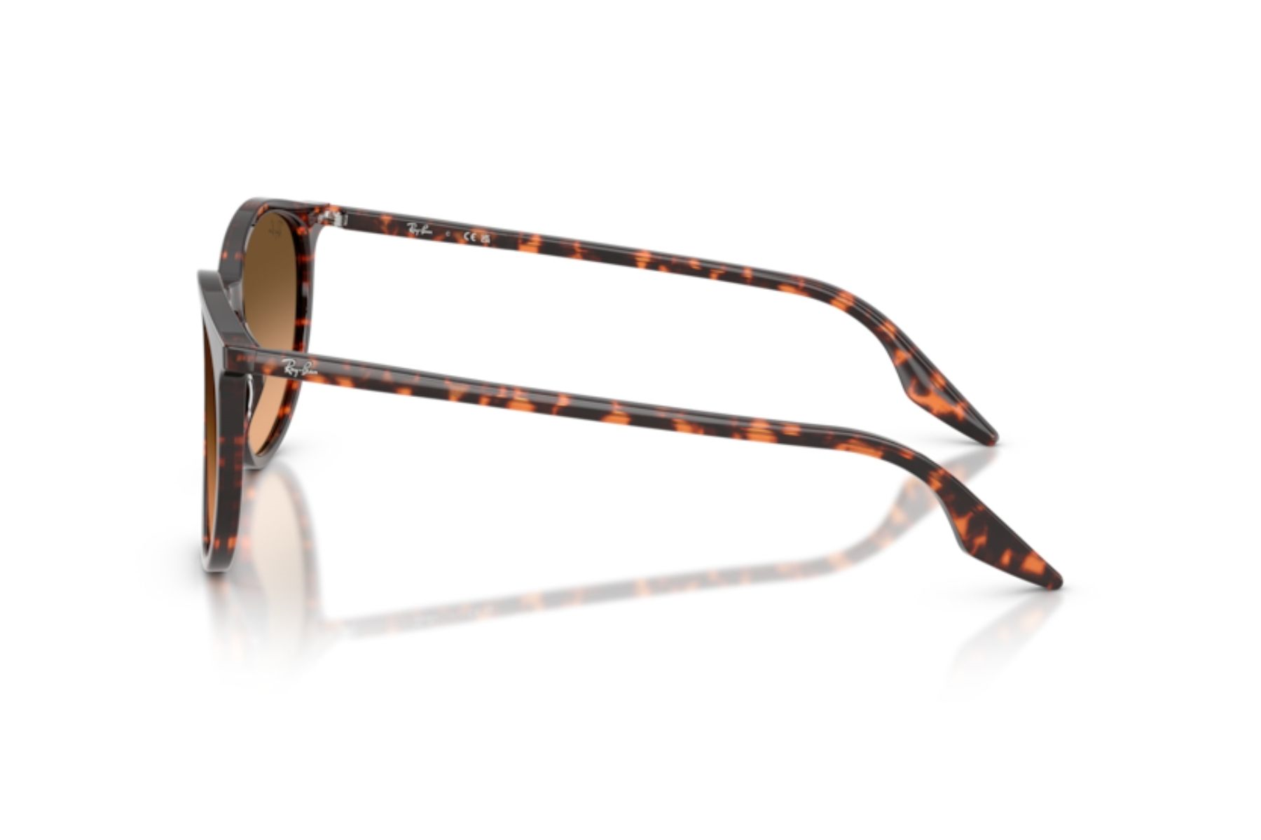 Ray-Ban 0RB2204 14293B 51 Unisex Güneş Gözlüğü