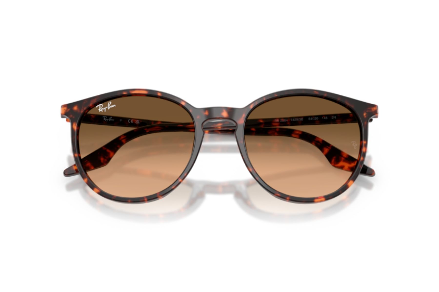 Ray-Ban 0RB2204 14293B 51 Unisex Güneş Gözlüğü