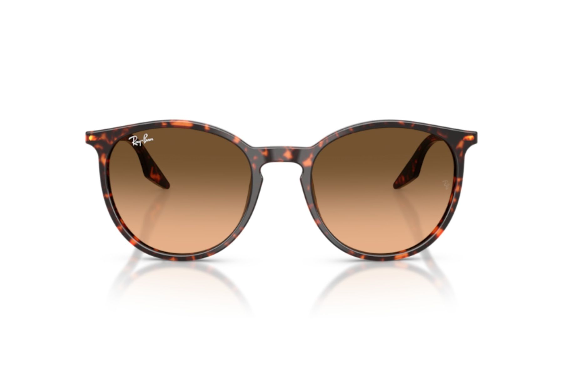 Ray-Ban 0RB2204 14293B 54 Unisex Güneş Gözlüğü