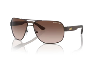 Armani Exchange 0AX2012S 605813 62