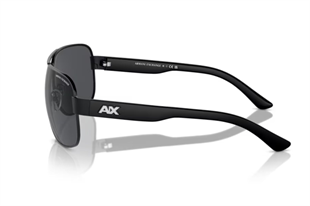 Armani Exchange 0AX2012S 606387 62