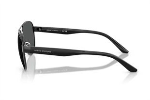 Armani Exchange 0AX2034S 600087 59