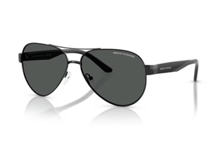 Armani Exchange 0AX2034S 600087 59