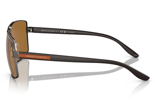Armani Exchange 0AX2037S 600383 60 Erkek Güneş Gözlüğü
