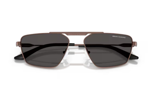 Armani Exchange 0AX2059S 610687 56