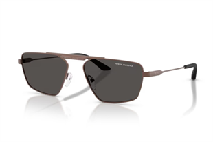 Armani Exchange 0AX2059S 610687 56