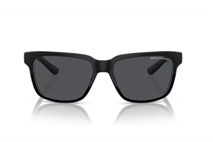Armani Exchange 0AX4026S 812287 56