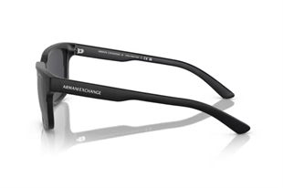 Armani Exchange 0AX4026S 812287 56