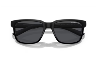 Armani Exchange 0AX4026S 812287 56