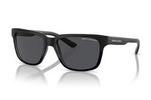 Armani Exchange 0AX4026S 812287 56