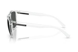 Armani Exchange 0AX4080S 823587 57