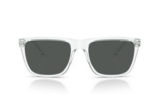 Armani Exchange 0AX4080S 823587 57