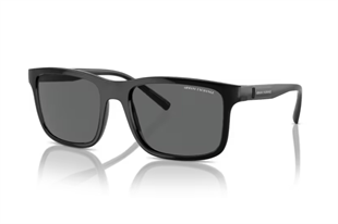 Armani Exchange 0AX4145S 815887 57