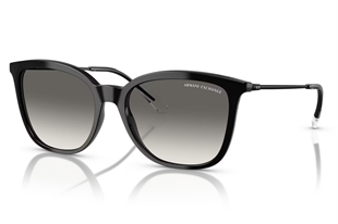 Armani Exchange 0AX4151S 815811 55 Kadın Güneş Gözlüğü