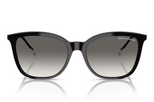 Armani Exchange 0AX4151S 815811 55 Kadın Güneş Gözlüğü