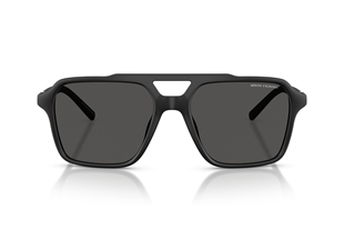 Armani Exchange 0AX4166SU 807887 57